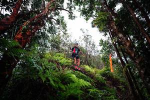 BIB: 
                            <button type="button" onclick="openModal(26204911)" class="btn btn-primary btn-sm float-right btn-popup" data-toggle="modal" data-target=".modal-high-quality">
                        <i class="fas fa-shopping-cart"></i> Add to Cart
                    </button>
                                            <button type="button" onclick="isThisMe(26204911, true)" class="btn btn-success btn-sm float-right btn-popup btn-isme hidden" data-toggle="tooltip" data-placement="bottom" title="นี่คือรูปของคุณใช่ไหม คลิกที่นี่เพื่อเอาเข้าอัลบั้ม">
                        <i class="fas fa-plus"></i> Add to album
                    </button>
                    <button type="button" onclick="isThisMe(26204911, false)" class="btn btn-warning btn-sm float-right btn-popup btn-isnotme hidden">
                        <i class="fas fa-ban"></i> Remove from album
                    </button>